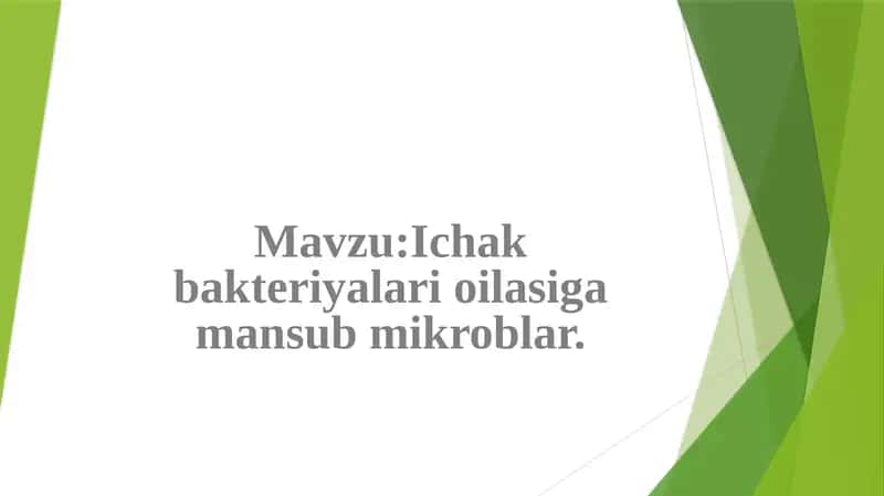 Ichak bakteriyalari oilasiga mansub mikroblar 1