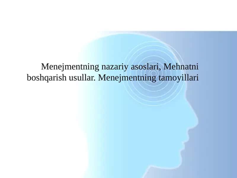 Menejmentning nazariy asoslari, Mehnatni boshqarish usullar. Menejmentning tamoyillari 1