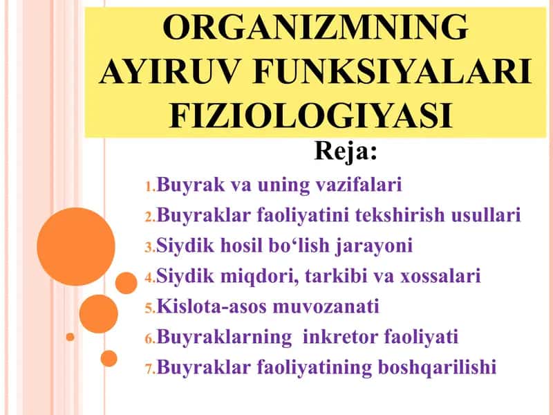 Organizimning ayiruv funksiyalari fiziologiyasi. 1