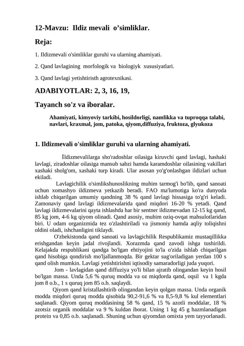 Ildiz mevali o’simliklar 1