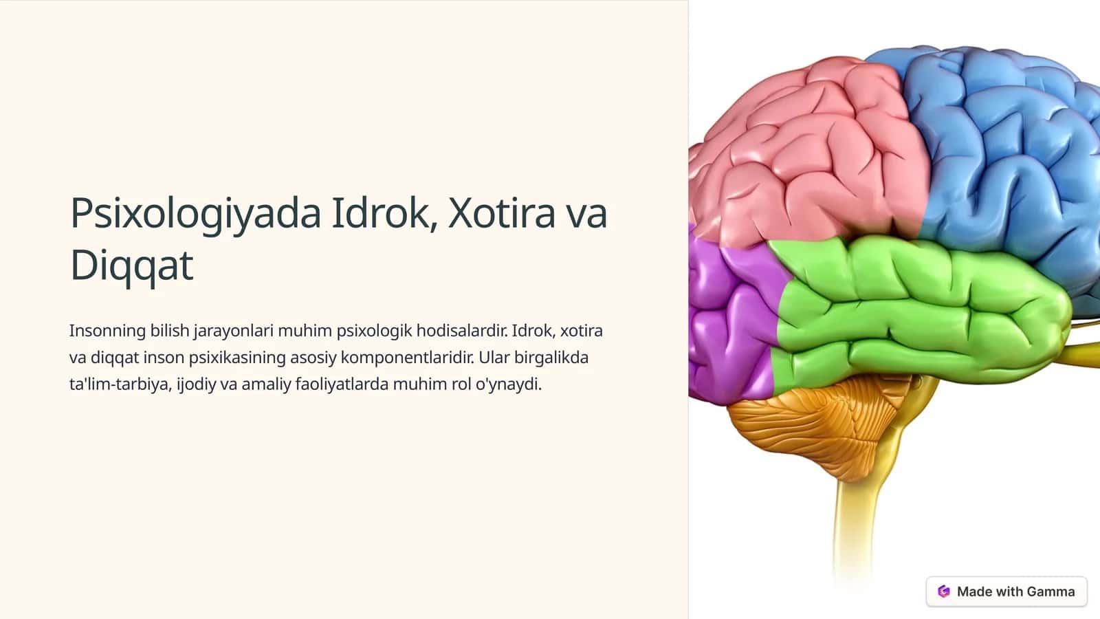 Psixologiyada Idrok, Xotira va Diqqat 1