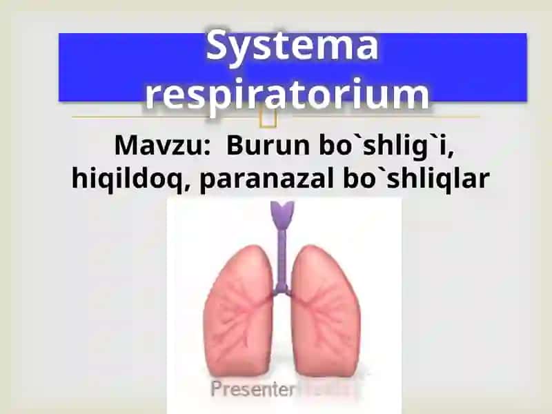 Systema respiratorium