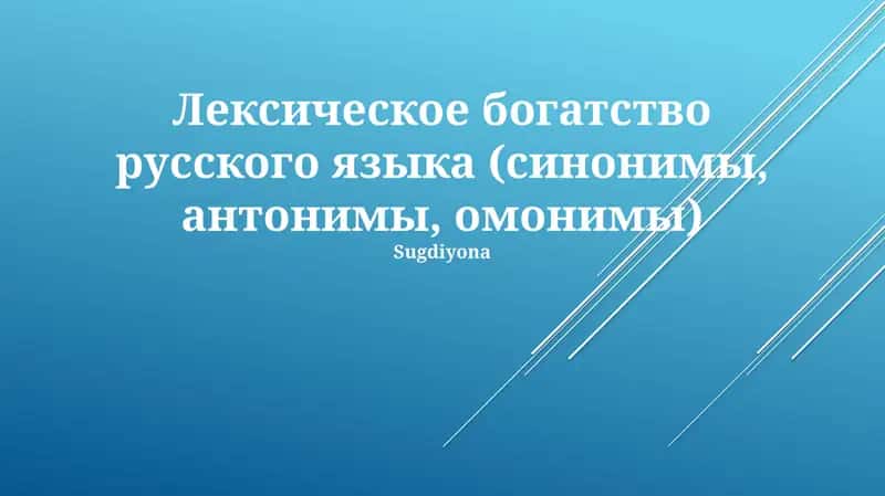 Лексическое богатство русского языка (синонимы, антонимы, омонимы) 1