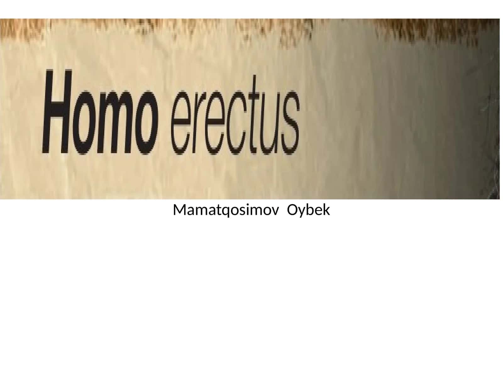 Xitoy hududidan topilgan Homo erectusning bosh chanog'i (Tiklangan) 1
