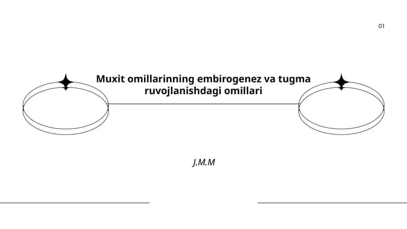 Muxit omillarinning embirogenez va tugma ruvojlanishdagi omillari 1