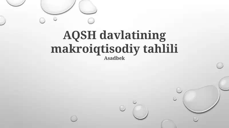 AQSH davlatining makroiqtisodiy tahlili 1
