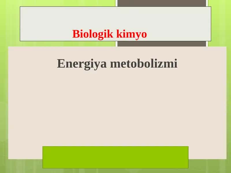 Energiya metobolizmi 1