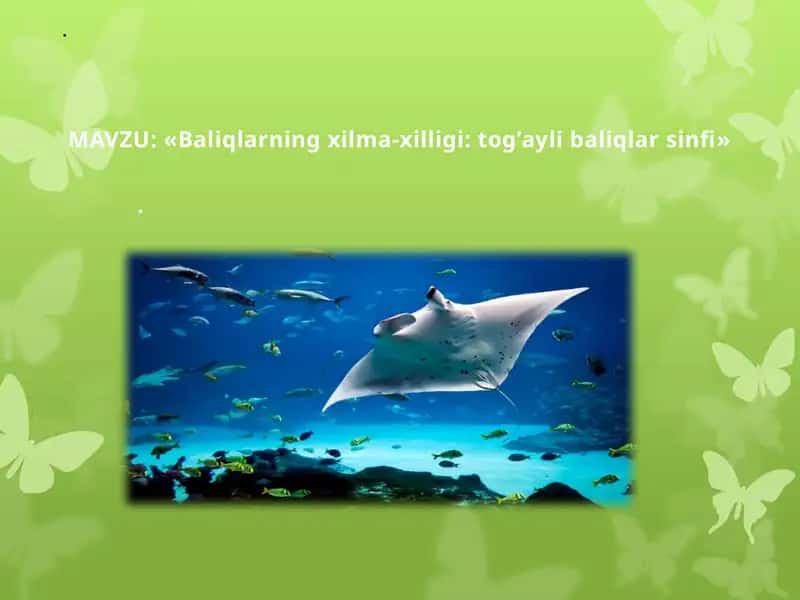 Baliqlarning xilma-xilligi: tog'aylibaliqlar sinfi 1