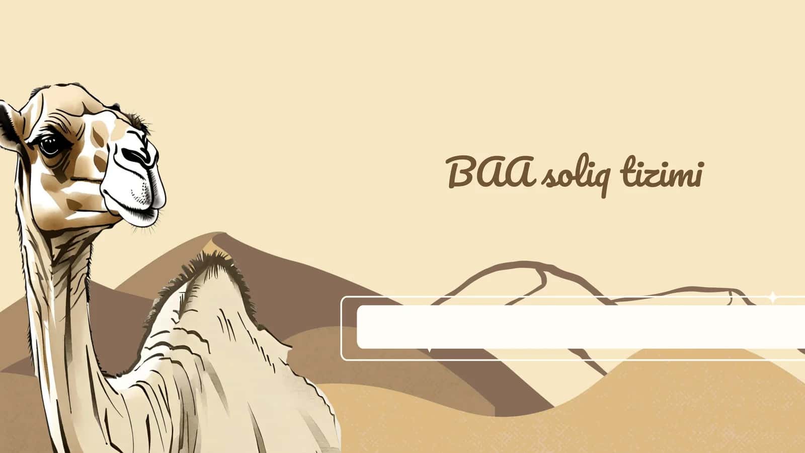BAA soliq tizimi 1