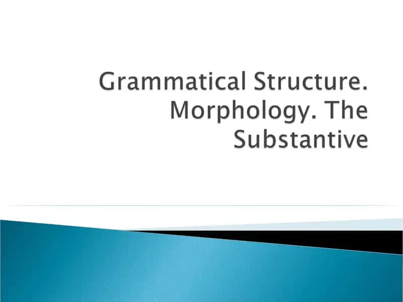 Three grammatical categories in OE substantives 1