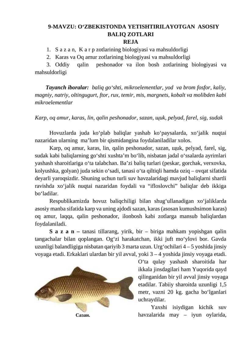 O‘ZBEKISTONDA YETISHTIRILAYOTGAN ASOSIY BALIQ ZOTLARI 1