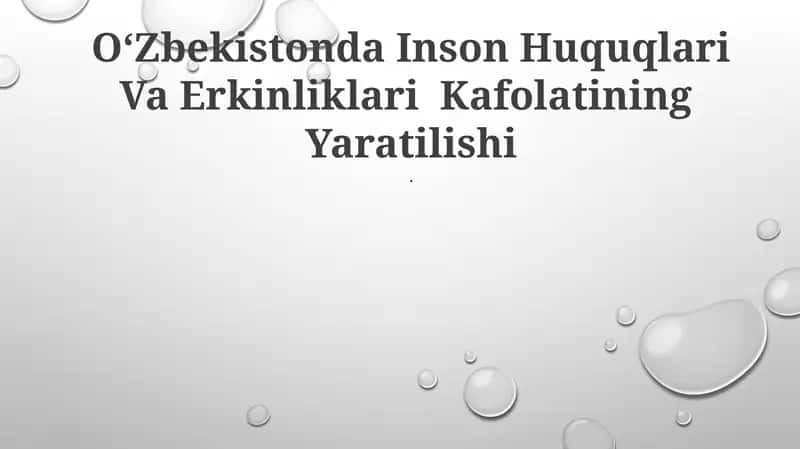 O‘Zbekistonda Inson Huquqlari Va Erkinliklari Kafolatining Yaratilishi 1