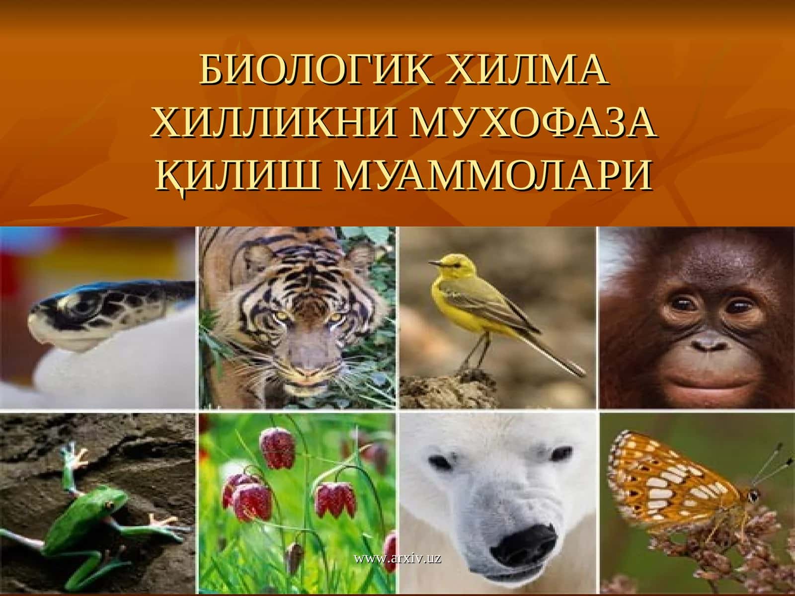 БИОЛОГИК ХИЛМА ХИЛЛИКНИ МУХОФАЗА ҚИЛИШ МУАММОЛАРИ 1