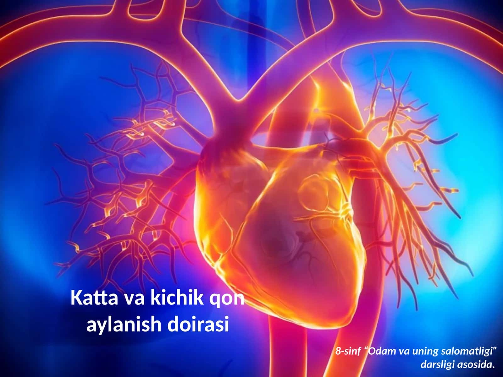 Odam va uning salomatligi 1