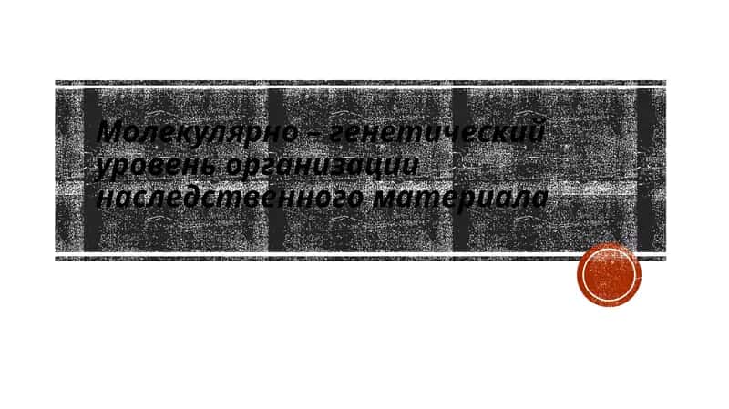 Организация наследственного материала 1
