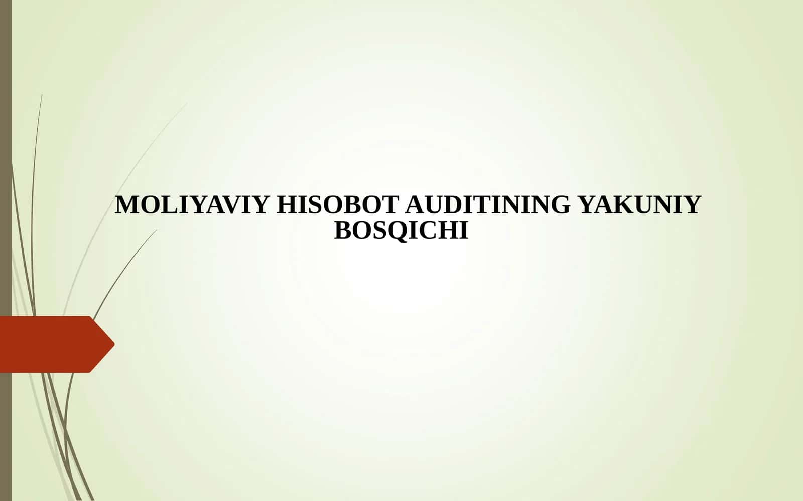 MOLIYAVIY HISOBOT AUDITINING YAKUNIY BOSQICHI 1