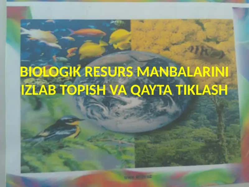 BIOLOGIK RESURS MANBALARINI IZLAB TOPISH VA QAYTA TIKLASH 1