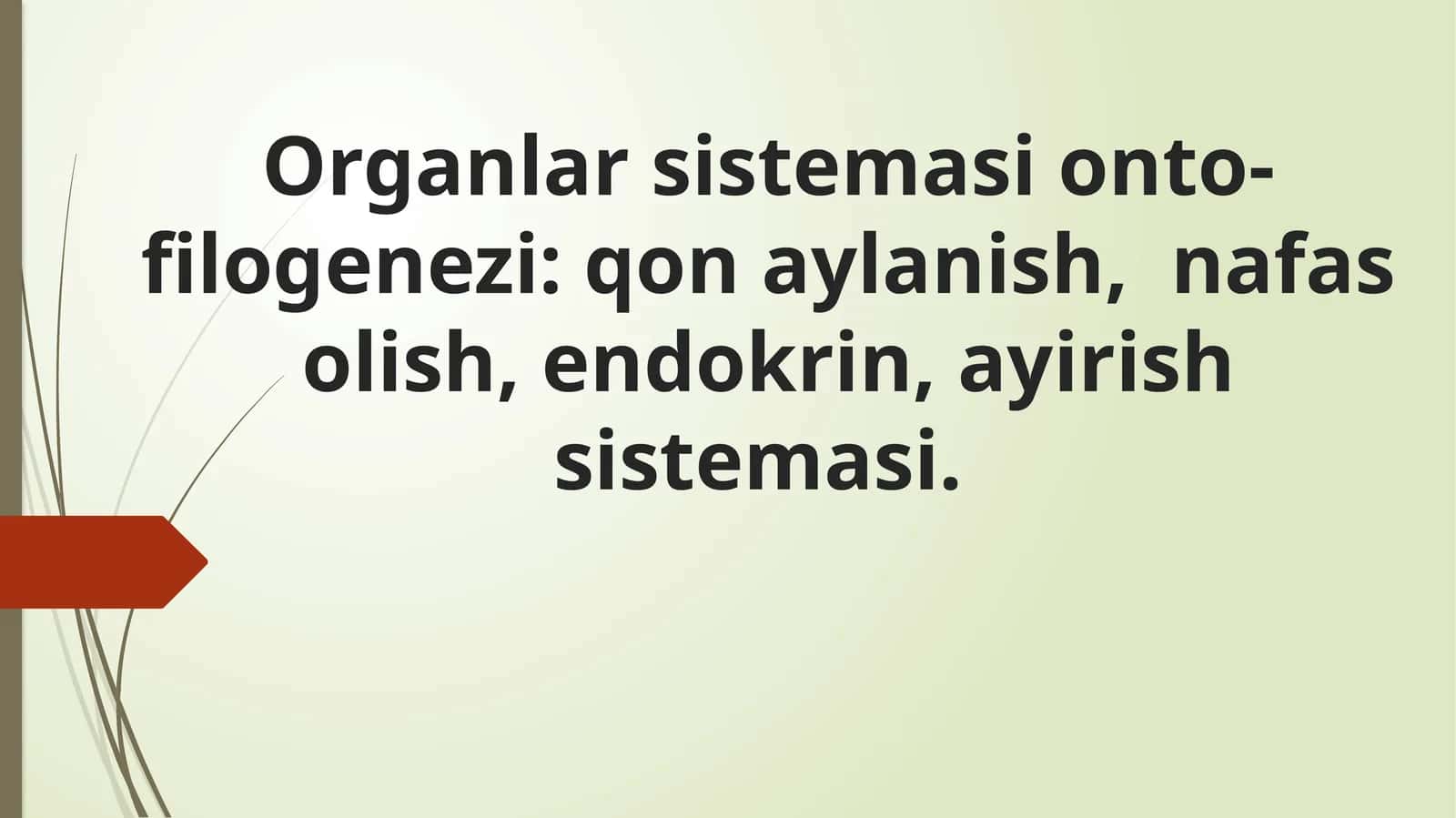 Organlar sistemasi onto-filogenezi: qon aylanish, nafas olish, endokrin, ayirish sistemasi 1