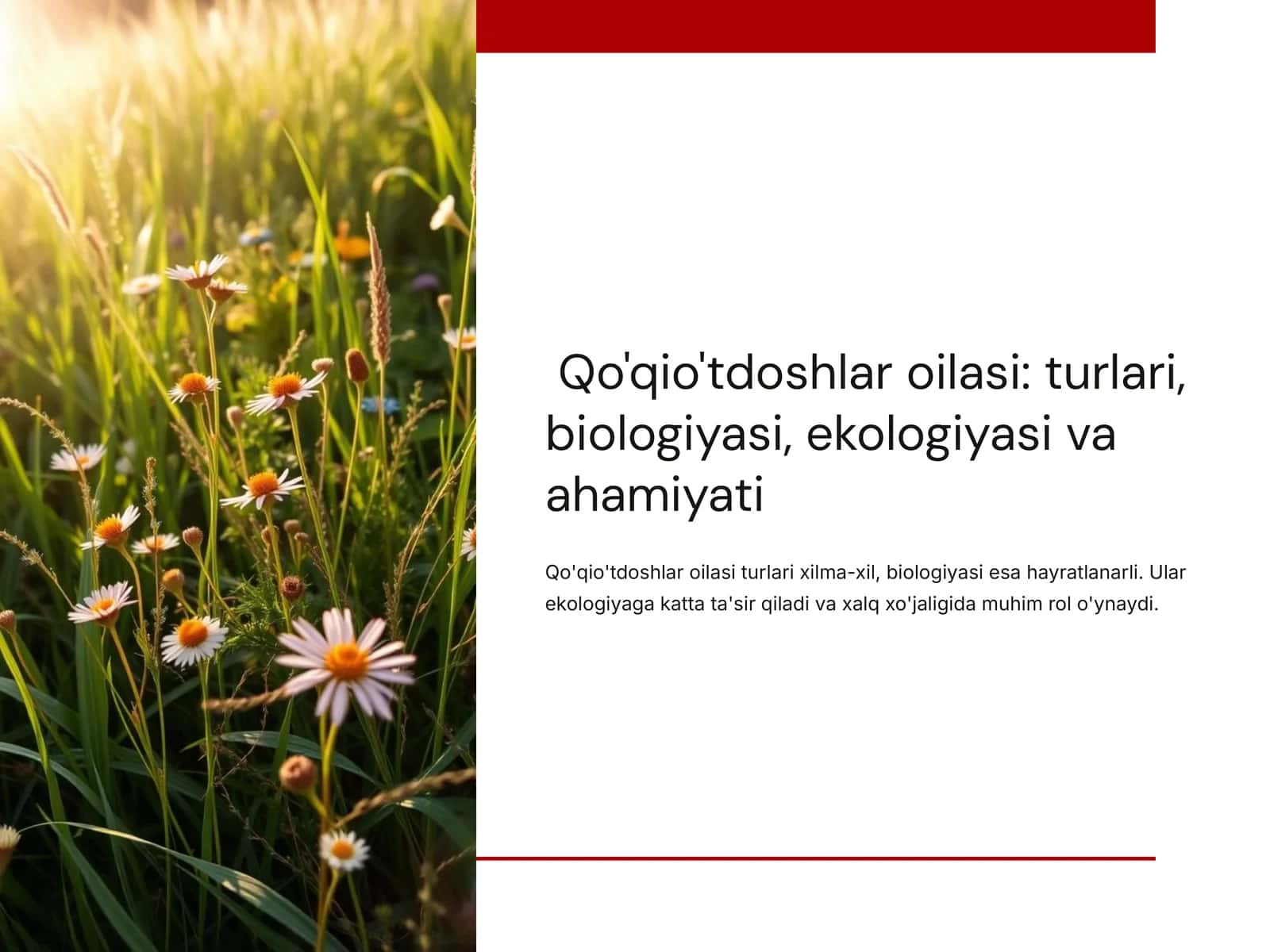Qo'qio'tdoshlar oilasi: turlari, biologiyasi, ekologiyasi va ahamiyati 1