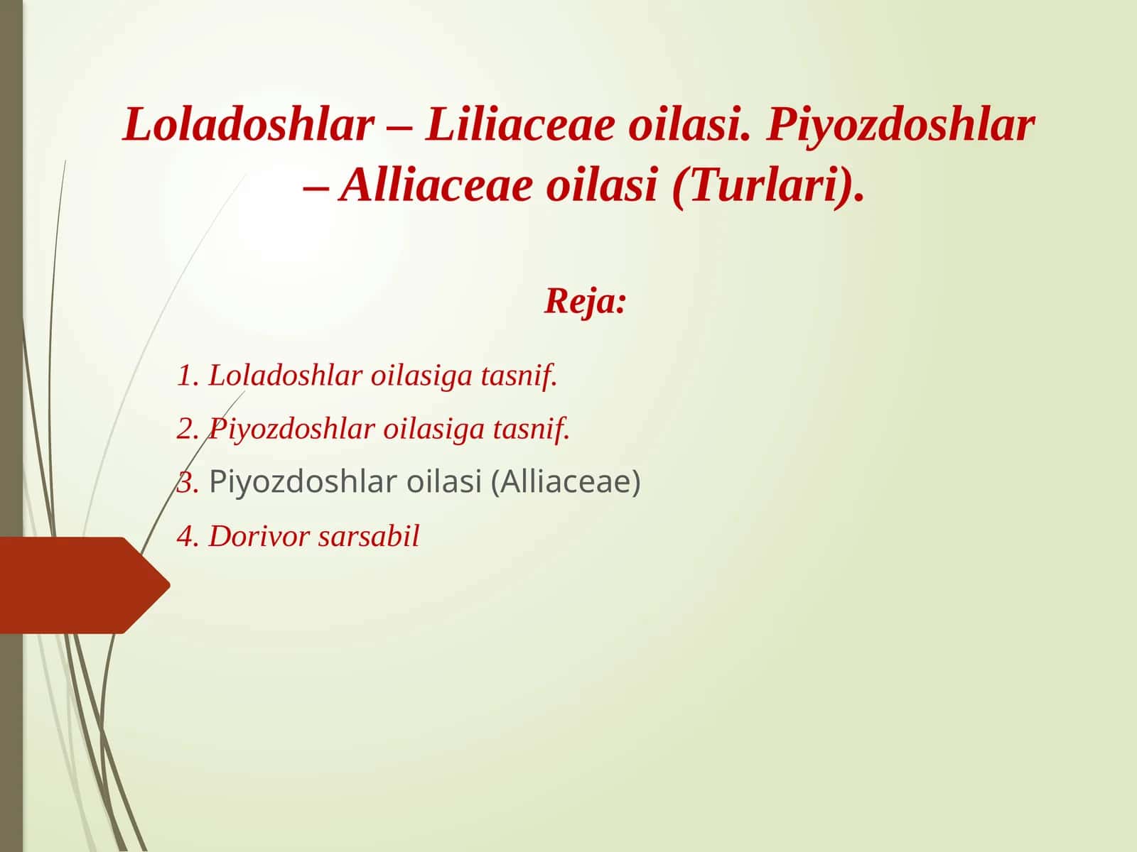 Loladoshlar – Liliaceae oilasi. Piyozdoshlar  – Alliaceae oilasi (Turlari). 1