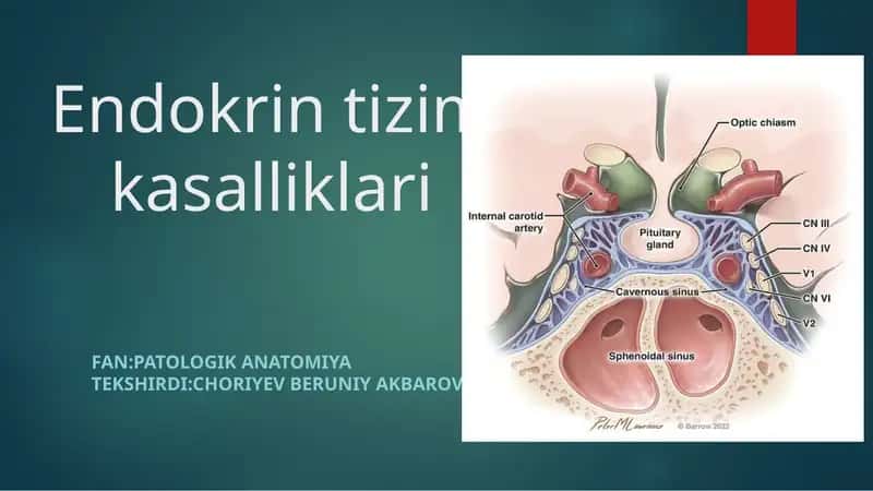 Endokrin tizim kasalliklari 1