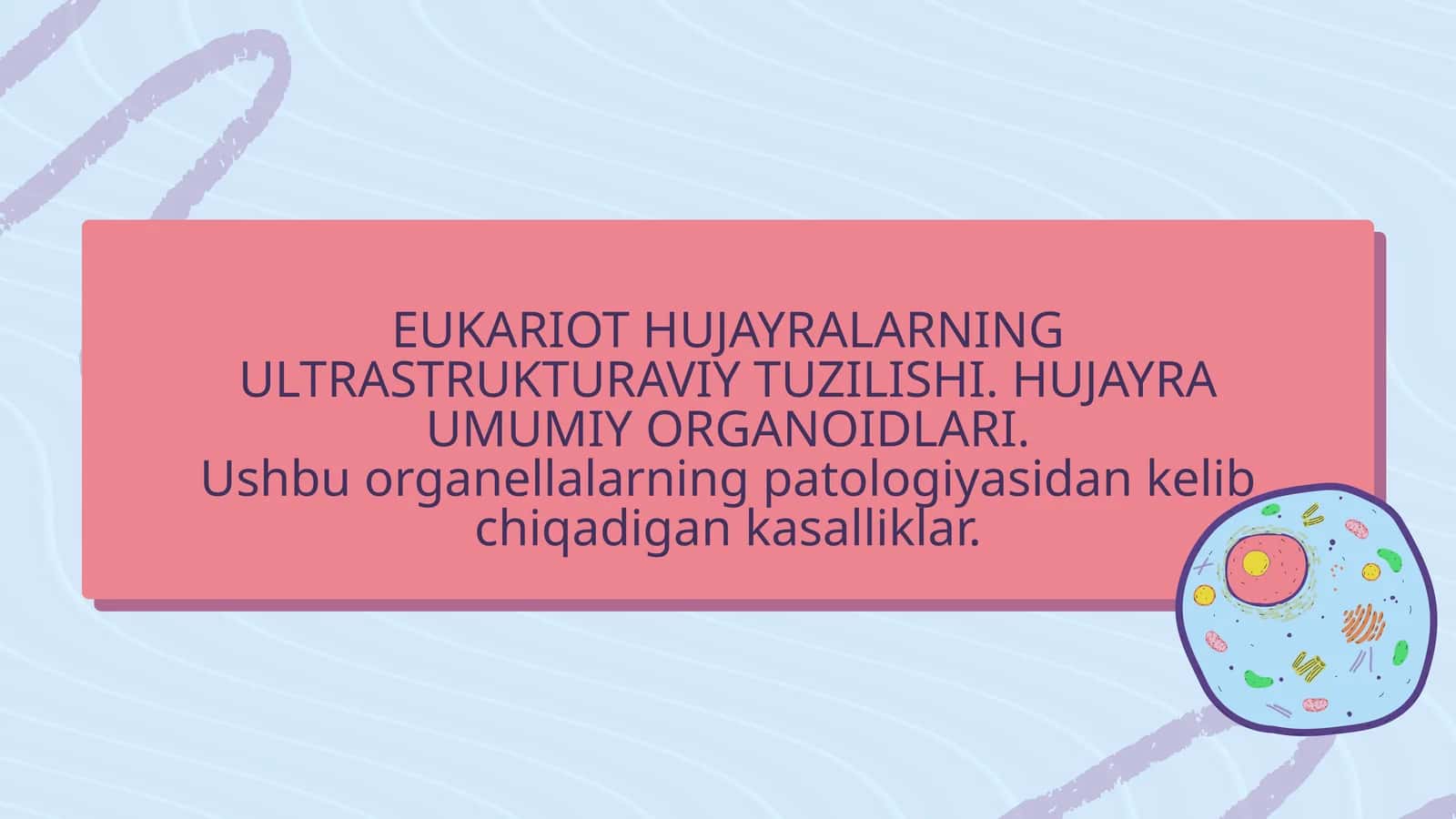 Eukariot hujayralarning ultrastrukturaviy tuzilishi. Hujayra umumiy organoidlari 1