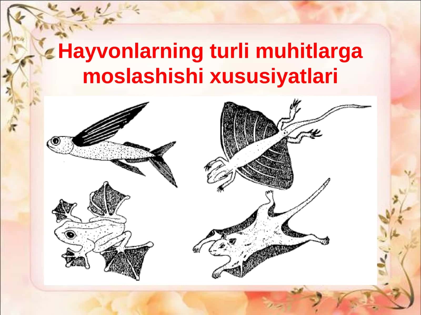 Hayvonlarning muhit bilan bog`liq xususiyatlari 1