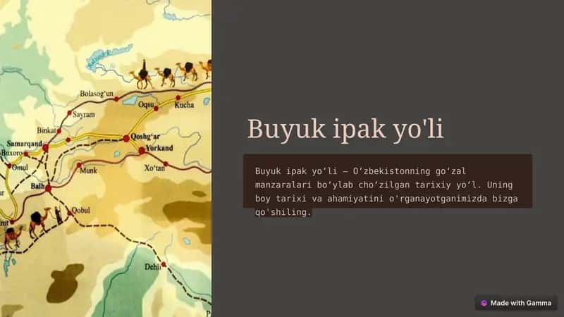 Buyuk ipak yo'li 1