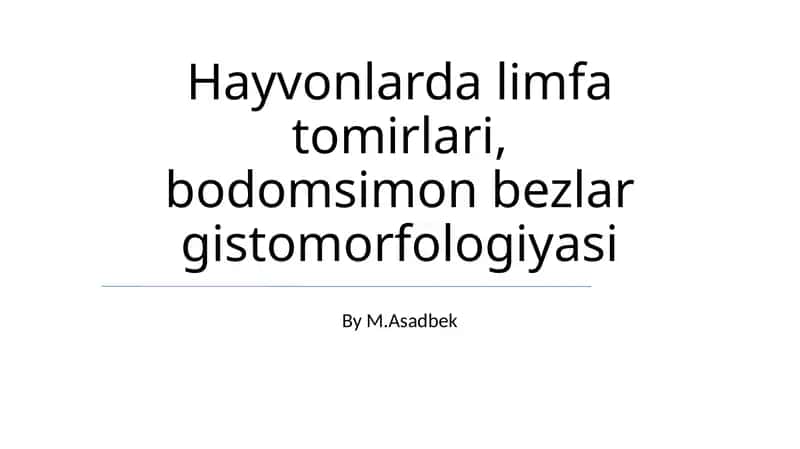 Hayvonlarda limfa tomirlari, bodomsimon bezlar gistomorfologiyasi 1