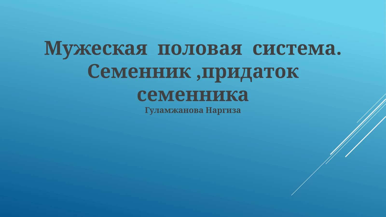 Мужеская половая система. Семенник,придаток семенника 1