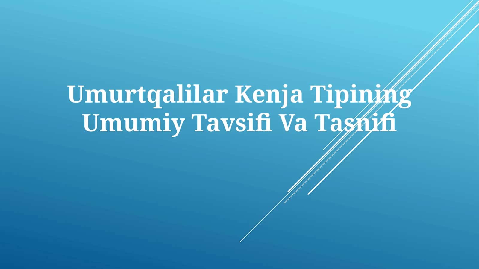 Umurtqalilar Kenja Tipining Umumiy TavsifiVaTasnifi 1