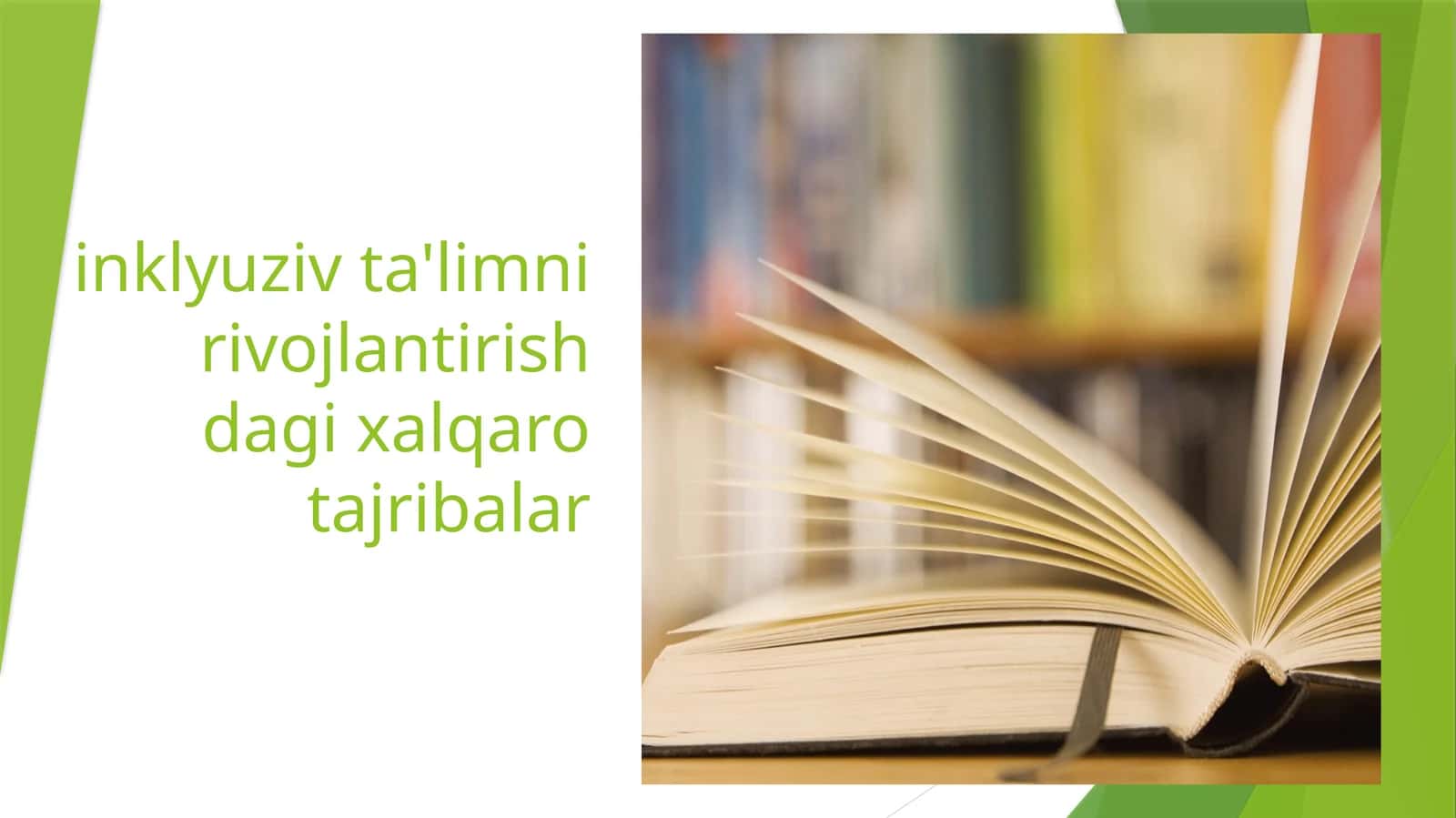 Inklyuziv ta'limni rivojlantirishdagi xalqaro tajribalar 1