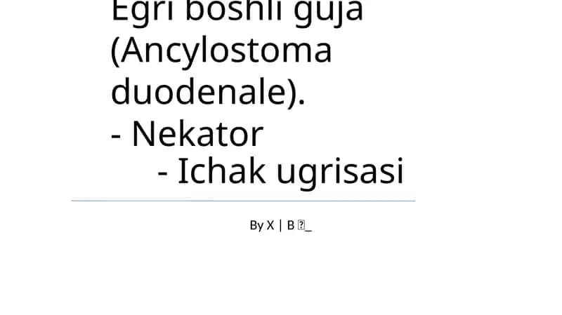Egri boshli guja (Ancylostoma duodenale) 1
