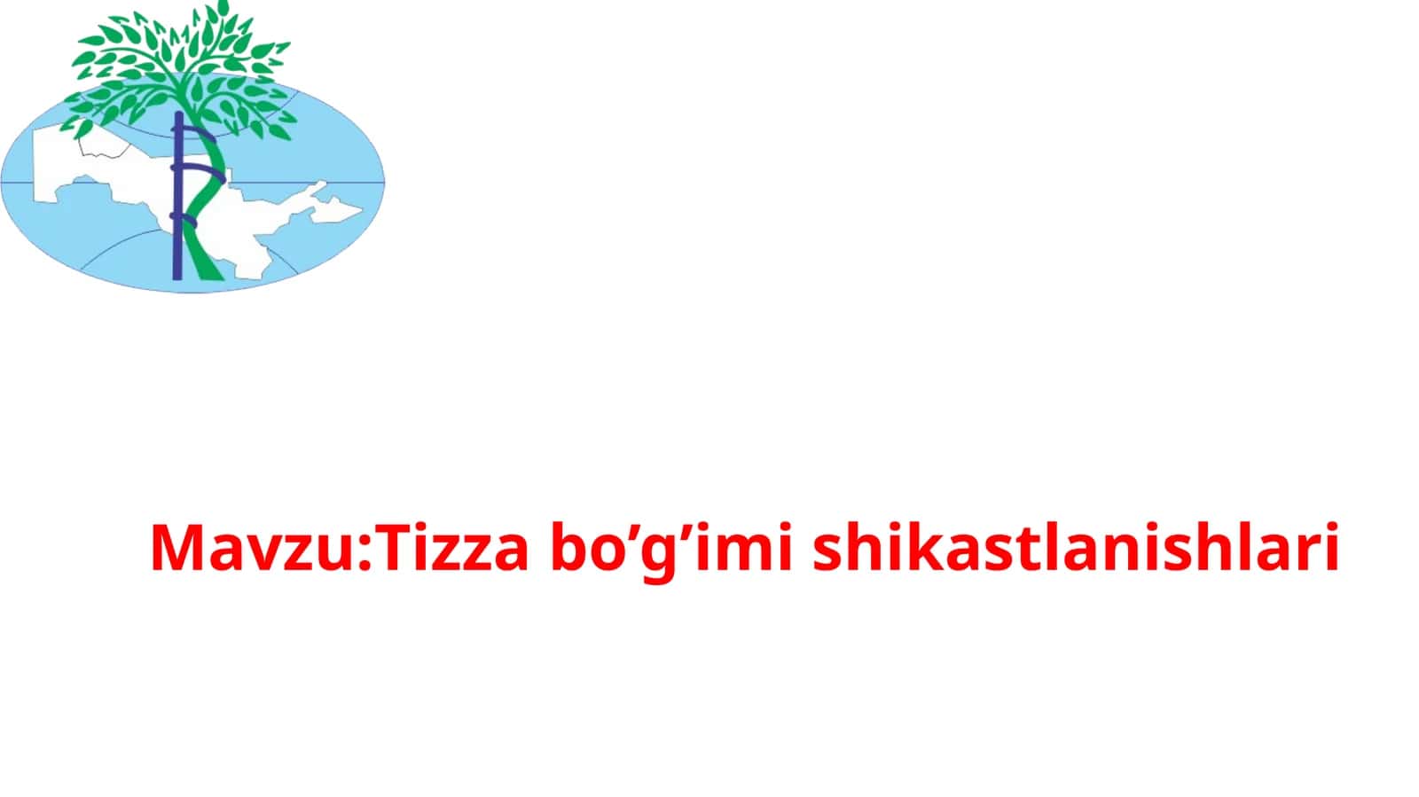 Tizza bo’g’imi shikastlanishlari 1