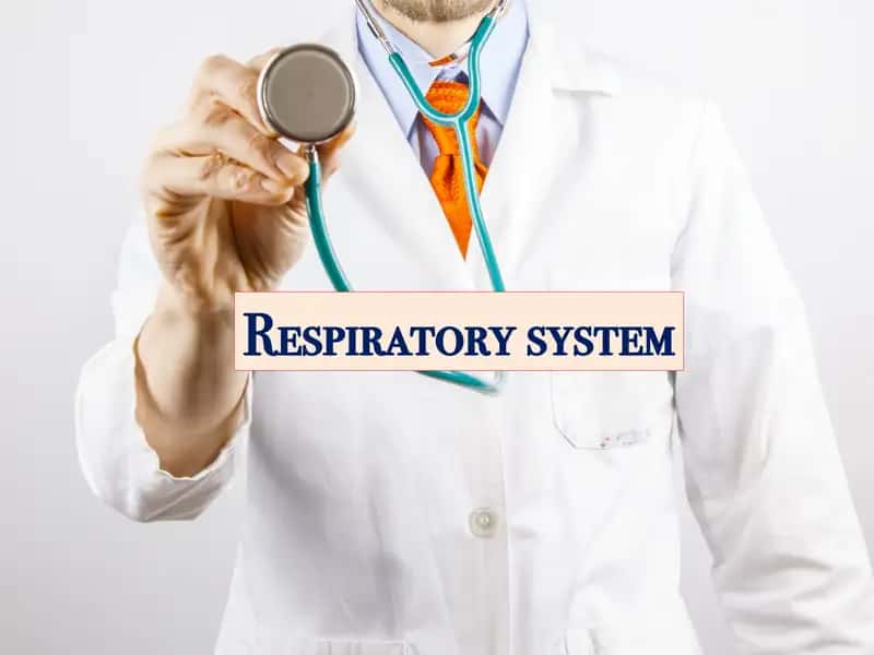 Respiratory system 1