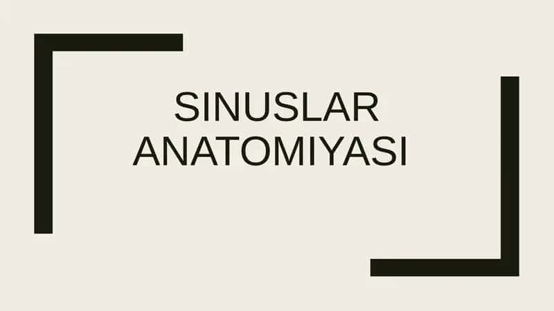 Sinuslaranatomiyasi 1