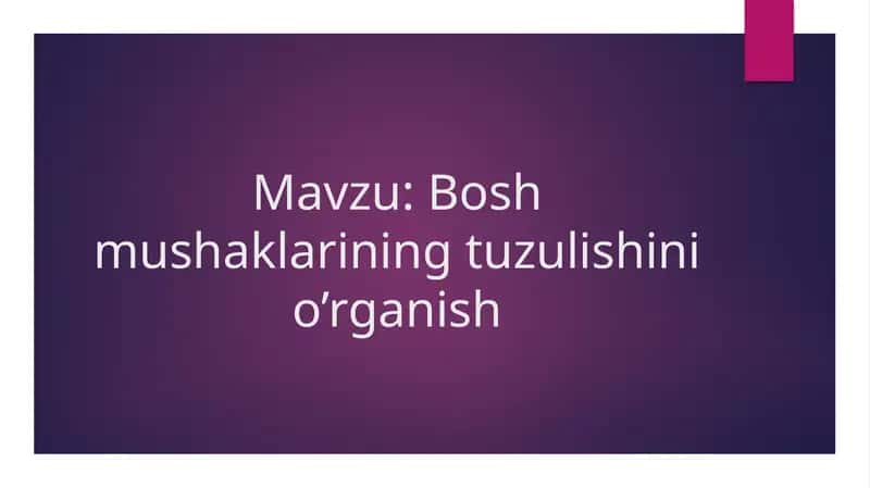 Bosh mushaklarining tuzulishini o’rganish 1