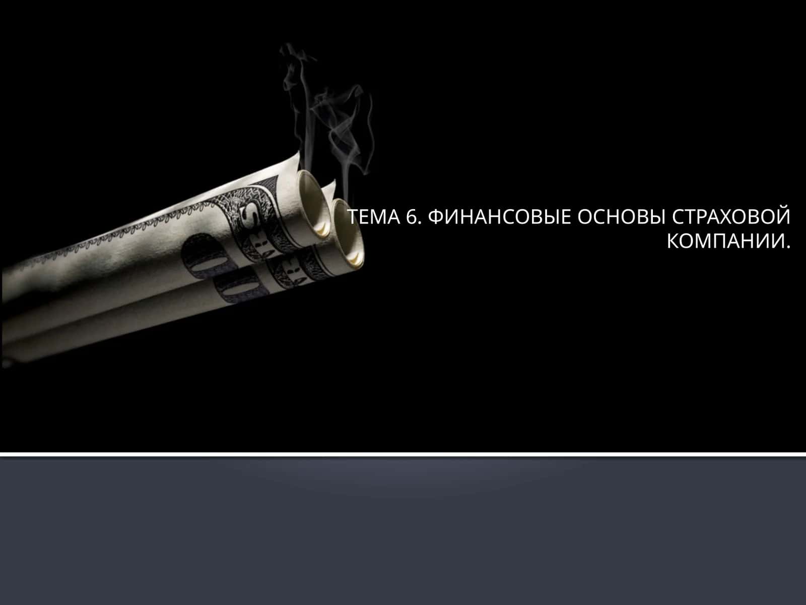 ФИНАНСОВЫЕ ОСНОВЫ СТРАХОВОЙ КОМПАНИИ 1
