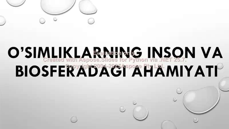 O’simliklarning inson va biosferadagi ahamiyati 1