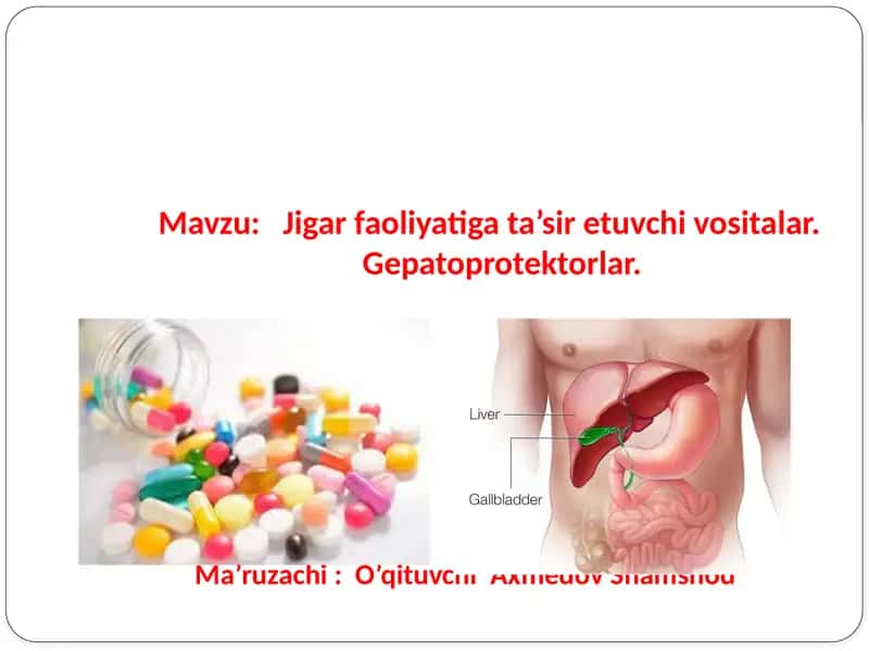 Jigar faoliyati gat’asiretuvchi vositalar. Gepatoprotektorlar 1