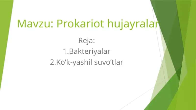 Prokariothujayralar 1