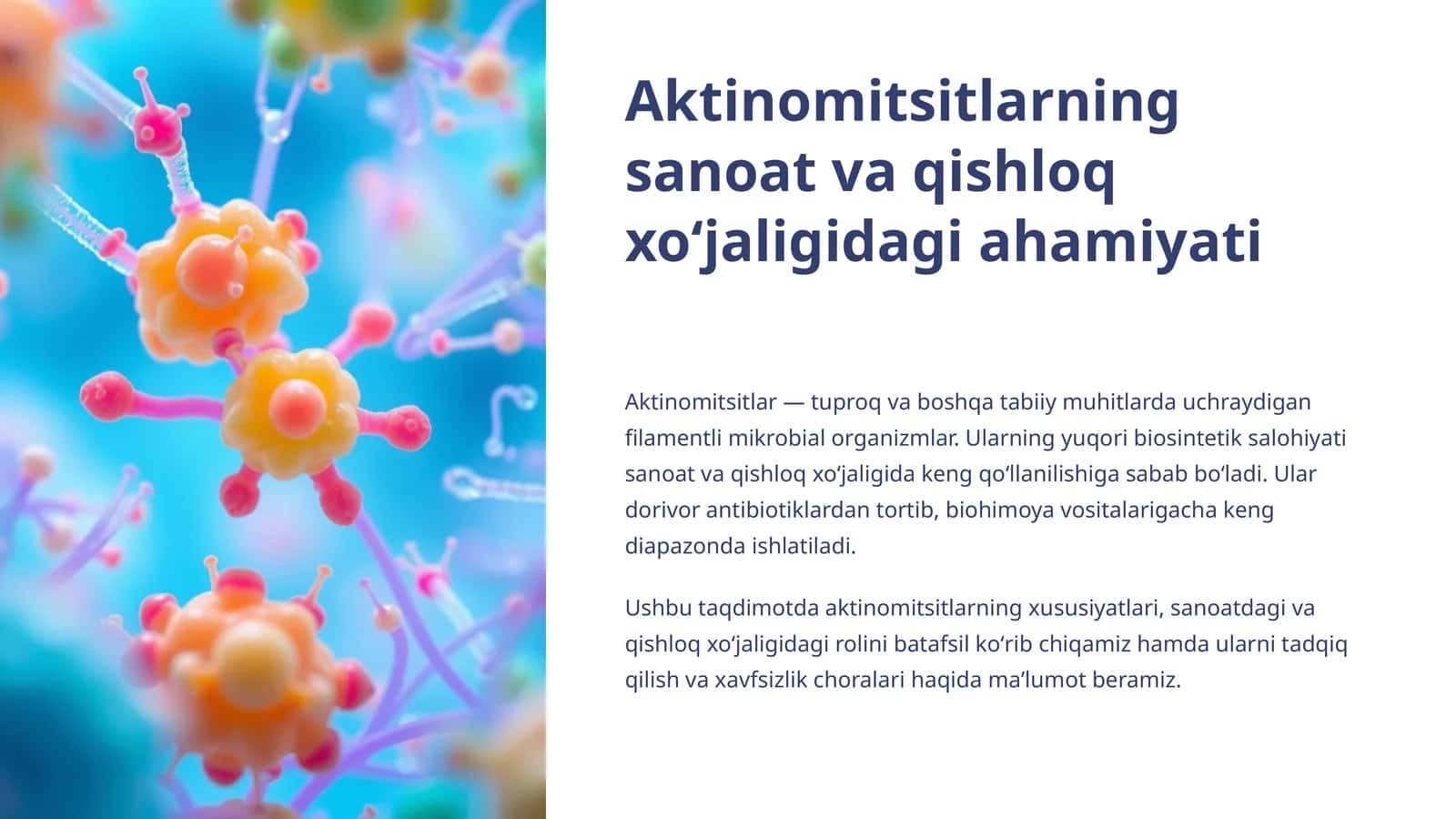 Aktinomitsitlarning sanoat va qishloq xoʻjaligidagi ahamiyati 1