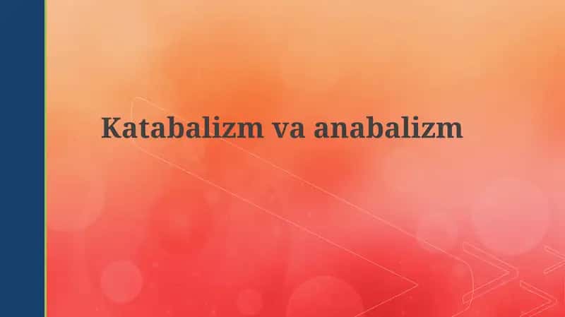 Katabolizm va Anabolizm 1