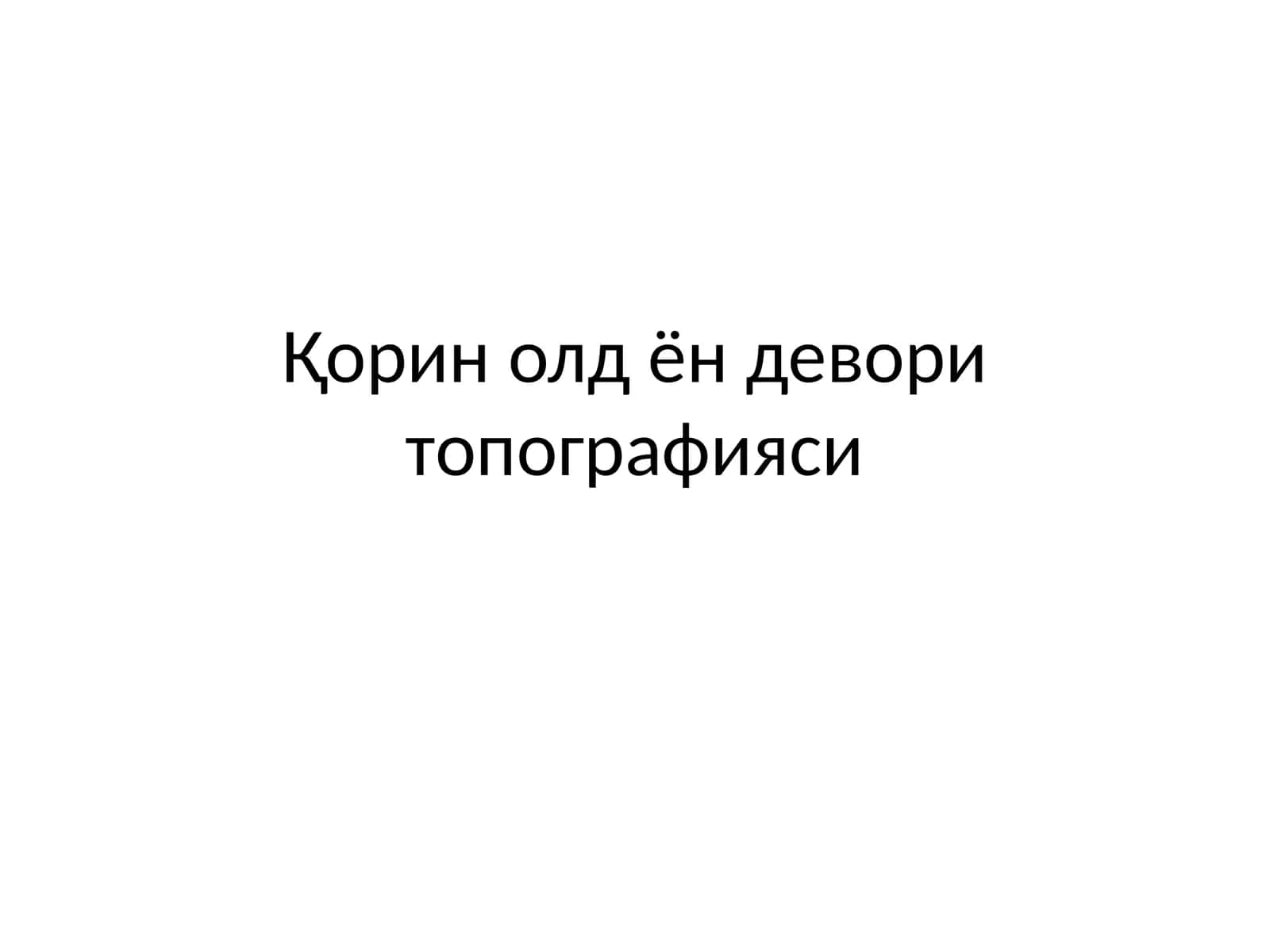 Қорин олд ён девори топографияси 1