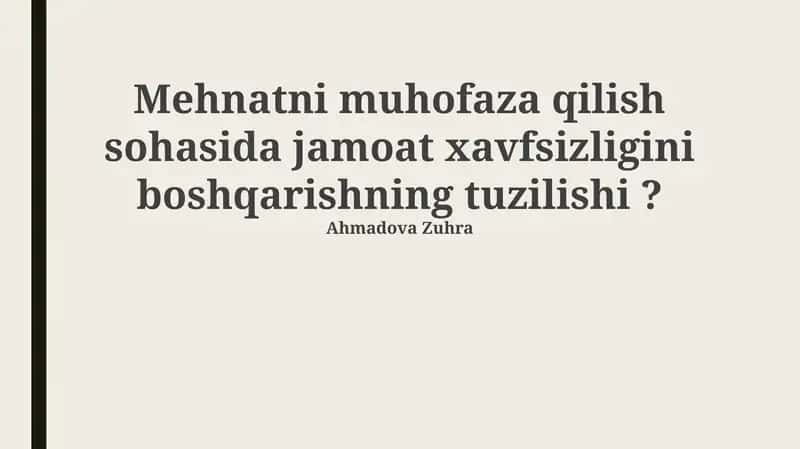 Mehnatni muhofaza qilish sohasida jamoat xavfsizligini boshqarishning tuzilishi 1