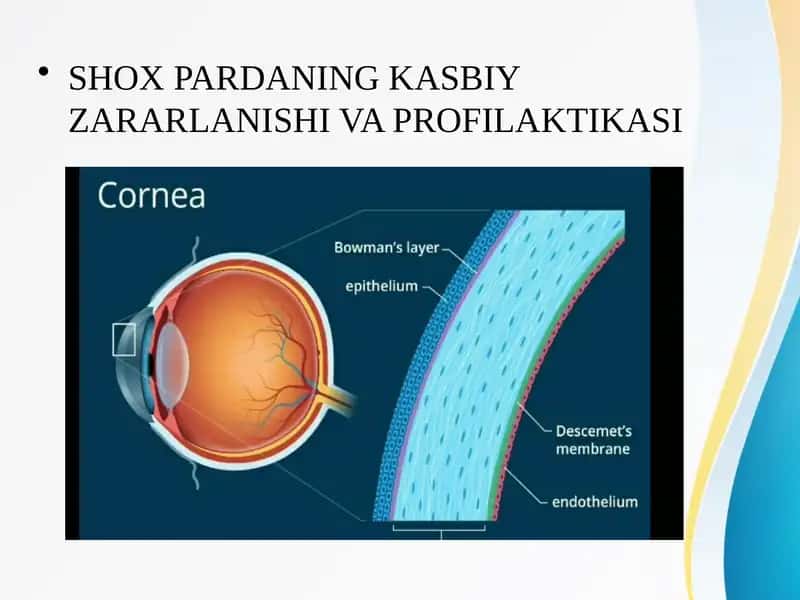 SHOX PARDANING KASBIY ZARARLANISHI VA PROFILAKTIKASI 1