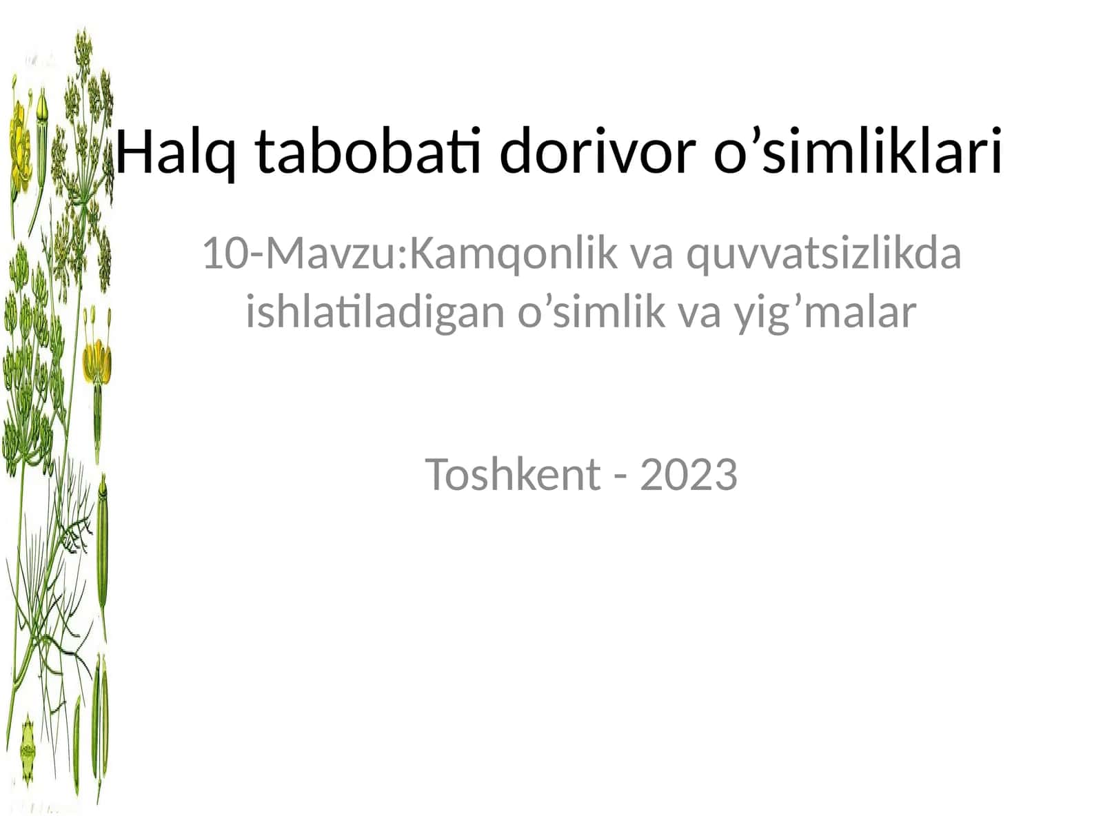 Halq tabobati dorivor o’simliklari 1