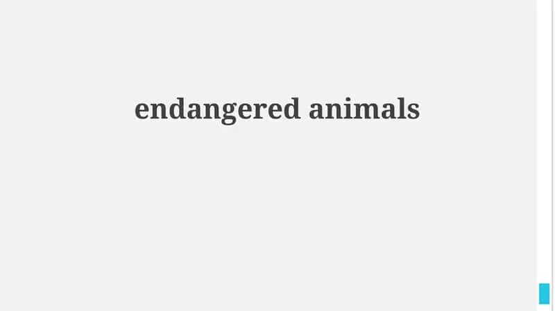 Understanding Endangered Species and Their Plight 1