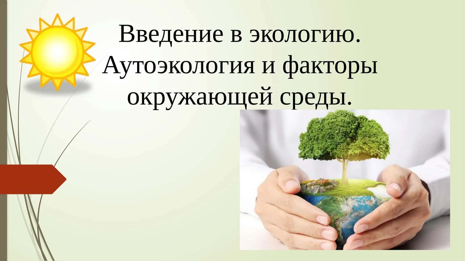 Введение в экологию. Аутоэкология и факторы окружающей среды 1