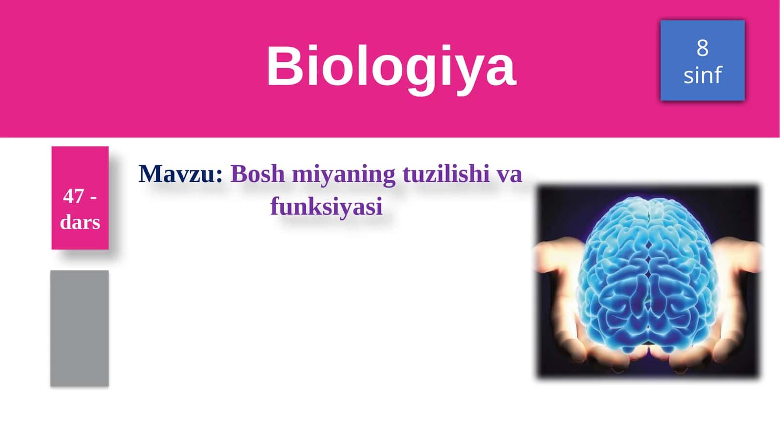 Boshmiyaningtuzilishivafunksiyasi 1
